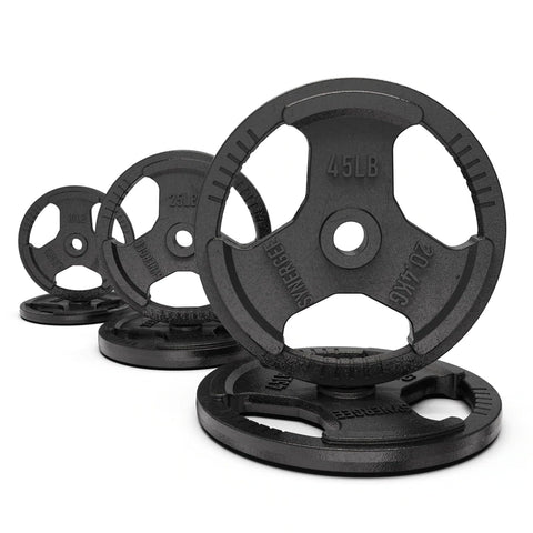 Synergee 1 inch Cast Iron Weight Plates, 160lb - Set